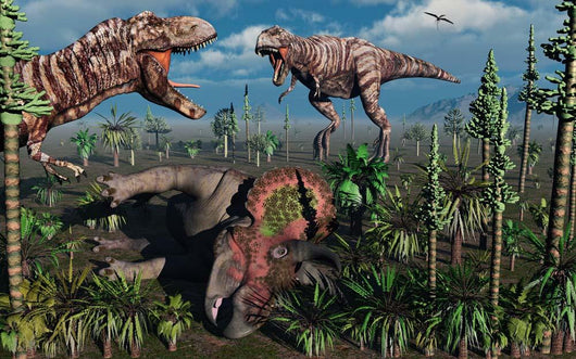 Two T Rex Dinosaurs Wall Decal