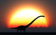 Silhouetted Omeisaurus Walks Pass Wall Decal