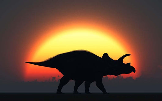 Silhouetted Triceratops Strolling past Wall Decal