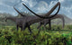 Two Giant Diplodocus Herbivore Wall Decal