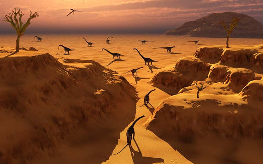 Herd Omeisaurus Dinosaurs Migrate Wall Decal