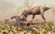 Family T Rex Dinosaurs Wall Decal