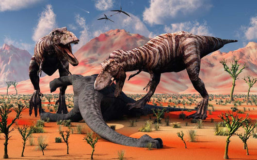 Two T Rex Dinosaurs Wall Decal