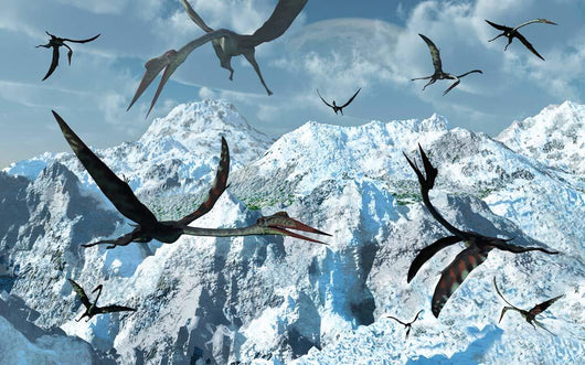 Flock Giant Quetzalcoatlus Wall Decal