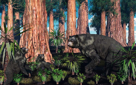 Mother Arctodus Bear with Wall Decal