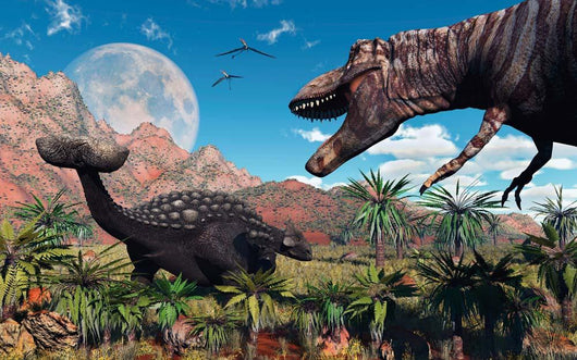 T Rex Confronts Ankylosaurus Wall Decal Design 2