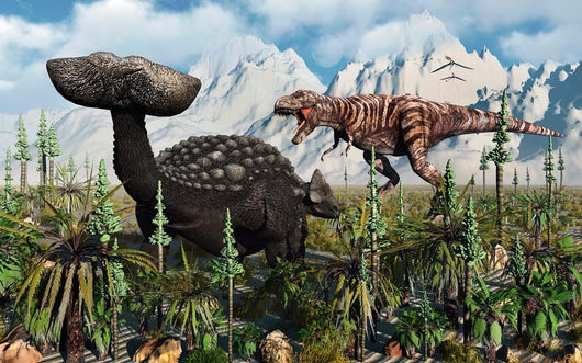 T Rex Confronts Ankylosaurus Wall Decal Design 1