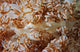 White Porcelain Crab Beige Wall Decal