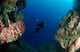 Underwater Photographer Entrance Cave Wall Decal