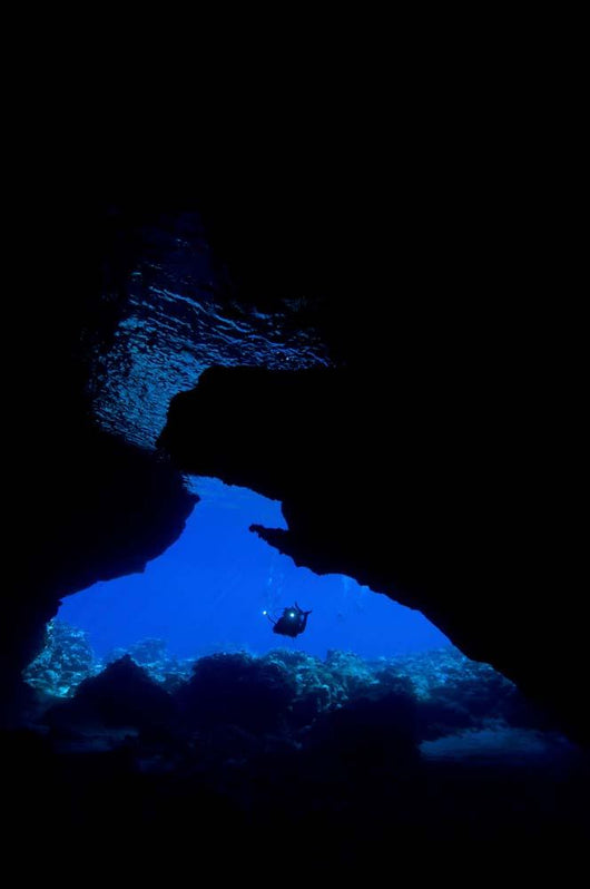 Diver with Lights Entering Wall Decal
