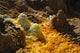 Dallol Geothermal Area Danakil Wall Decal Design 5