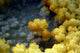 Dallol Geothermal Area Danakil Wall Decal Design 3