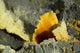 Papandayan Sulfur Cone Java Wall Decal