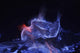 Kawah Ijen Burning Sulfur Wall Decal