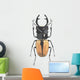 Small Beetle Wall Decal