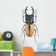 Small Beetle Wall Decal