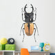 Small Beetle Wall Decal