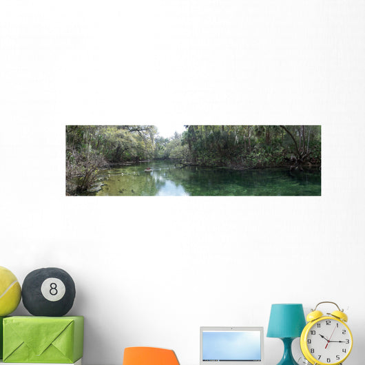 Blue Spring State Park Panorama 01 United States Wall Mural