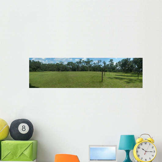 Dade Battlefield Bushnell Hill Wall Decal