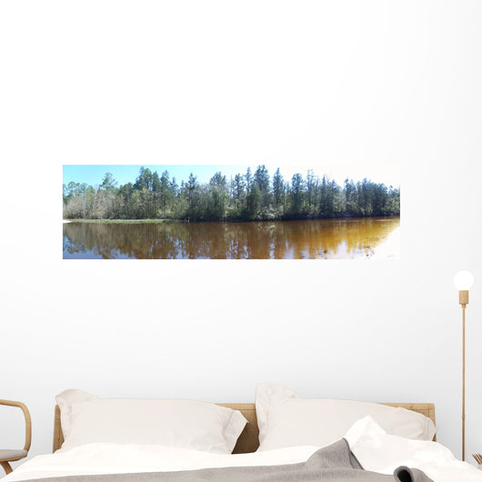 Blackwater River Pano02 United Wall Decal