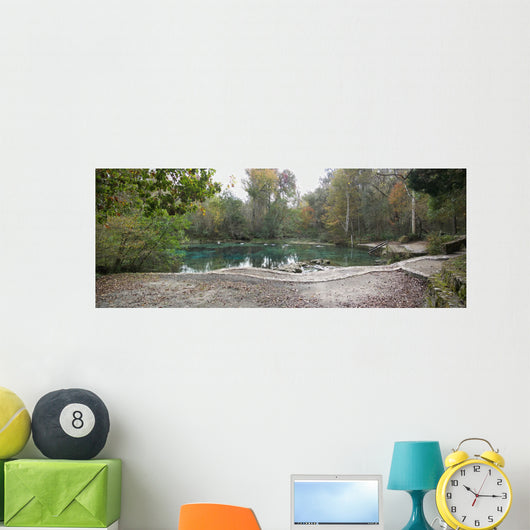 Ichetucknee Springs Sp North Wall Decal
