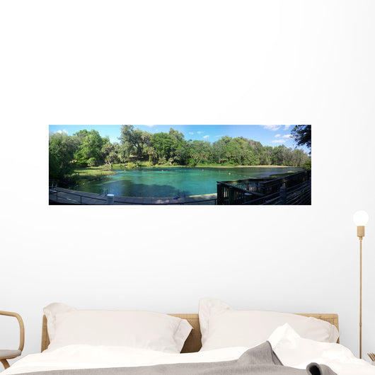 Rainbow Springs State Park Wall Decal