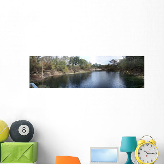 Troy Springs United States Wall Decal