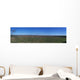 Micanopy Paynes Prairie United Wall Decal