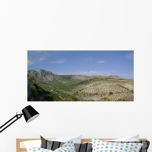 Ot Ar Cerro Del Wall Decal