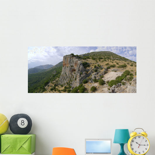 Ot Ar Cueva Los Wall Decal