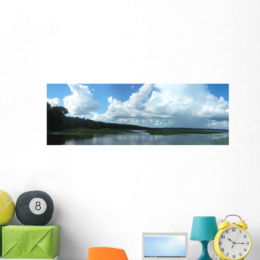 Gville Newnans Lake02 United Wall Decal