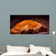 Antelope Arch Lower Antelope Wall Decal