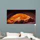 Antelope Arch Lower Antelope Wall Decal
