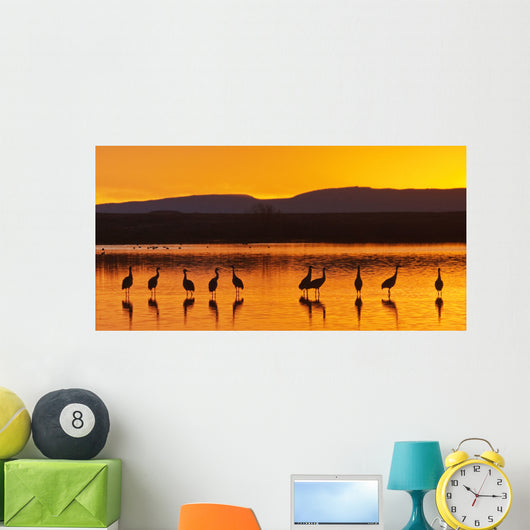 Bosque Del Apache Sanhill Wall Decal