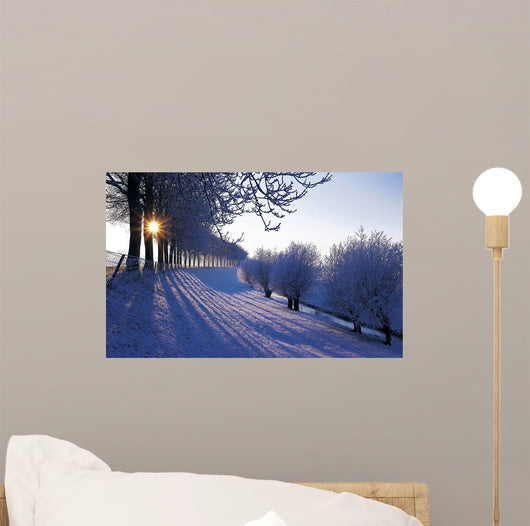 Winter Netherlands Wall Decal