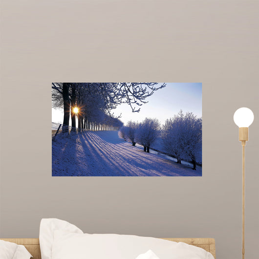 Winter Netherlands Wall Decal