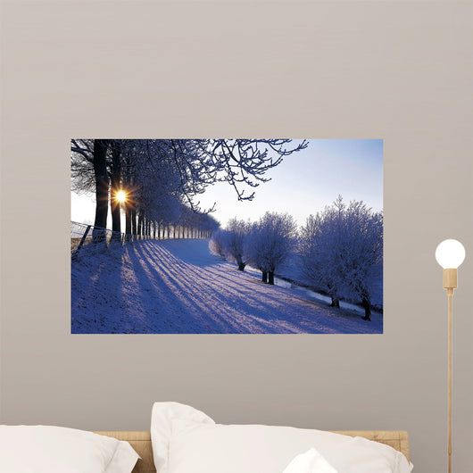 Winter Netherlands Wall Decal