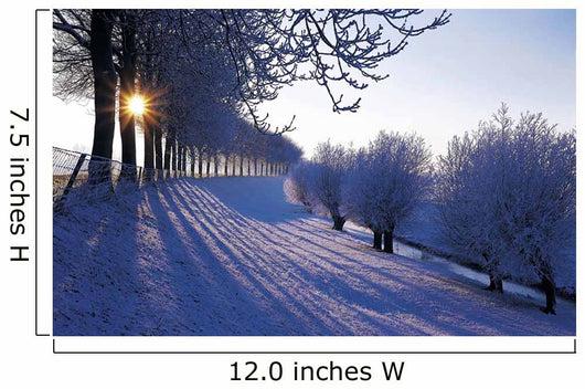 Winter Netherlands Wall Decal