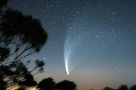 Comet McNaught P1 Wall Decal Design 2