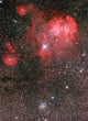 Bat Nebula Ic 2948 Wall Decal