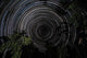 Southern Sky Star Trails Wall Decal Design 2
