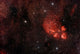 Cat's Paw Nebula Scorpius Wall Decal