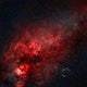 Constellation Cygnus with Multiple Wall Decal
