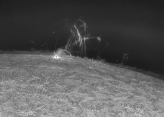 H-alpha Sun Prominence Wall Decal