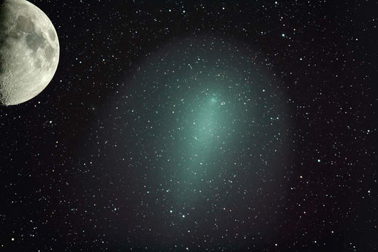 Size Comet Holmes Comparison Wall Decal