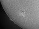 H-alpha Sun with Sunspots Wall Decal