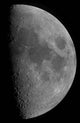 Half-moon Wall Decal