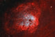 Tadpole Nebula Wall Decal Design 1