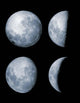 Four Phases Moon Wall Decal
