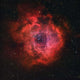 Rosette Nebula Wall Decal